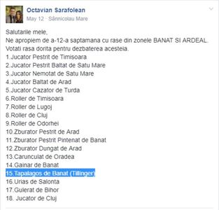 2017-07-11_0317; Sursa: gurpul de Facebook &quot;Porumbei romanesati&quot;
https://www.facebook.com/groups/romanian.pigeons/
Data: 12 Mai 2017
