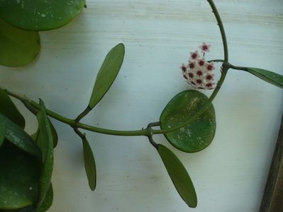 P1330728