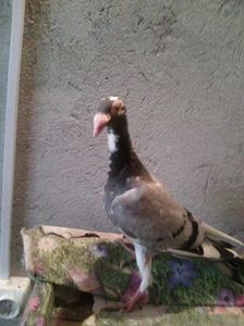 Photo0689