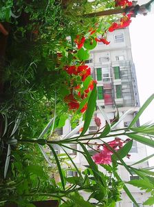 Photo5070