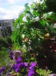 Photo5085