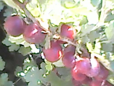 Agris Rovada.18.07.2017