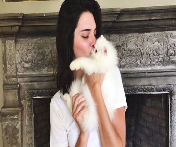 — c̮r̮u̮e̮l̮♥̷ǝɔuǝʇsᴉxǝ.; Iar nu am la ce să mă uit...