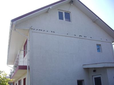 IMGP1262