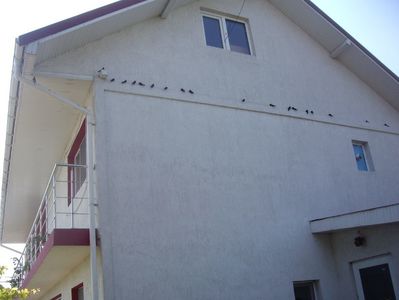 IMGP1263