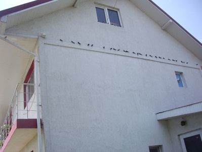 IMGP1283