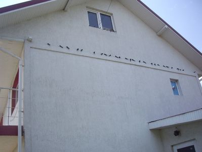 IMGP1284