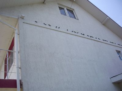 IMGP1285