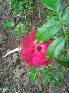 Photo0463