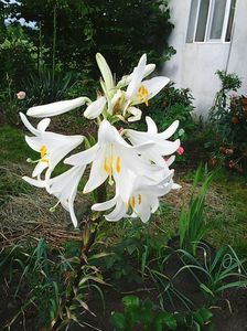 Photo0448