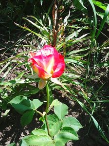 Photo0434