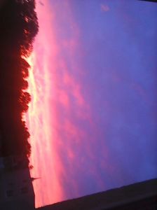 Photo5061