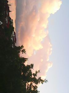 Photo5082