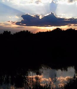 Nuovo_1_Photo5181