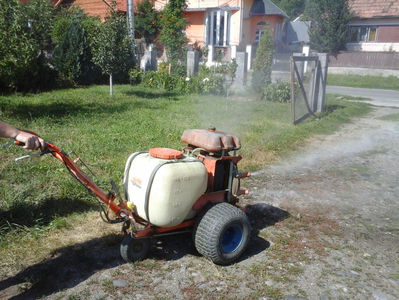 Solo incercari