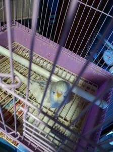 20170728_140139.jpg