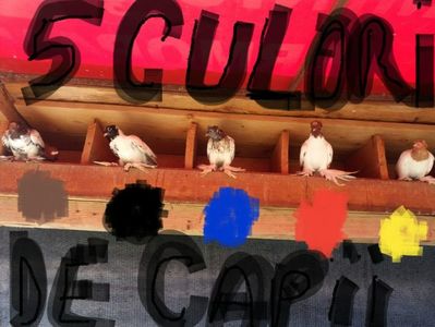 5 culori de capi; castaniu.....negru....albastru.....roşu.....galben
