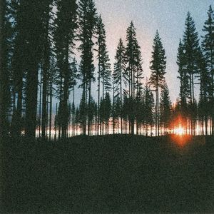 îmi place să merg în locuri retrase, liniștitoare și unde te poți recreea.; ador să merg în pădure, e locul meu preferat care mă relaxează și mă ajută să găsesc orice rezolvare la orice problemă.
