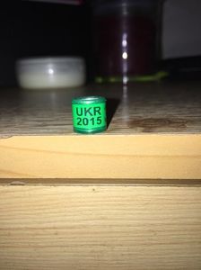 Ucraina(2015)