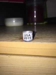 America(2015)