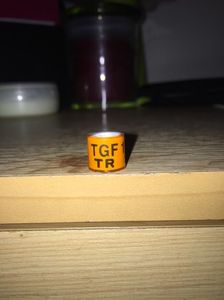 Turcia-TGF(2011)