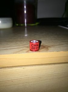 China (2015)-AMATOR