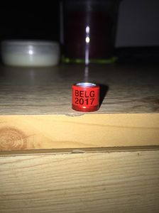 Belgia(2017)