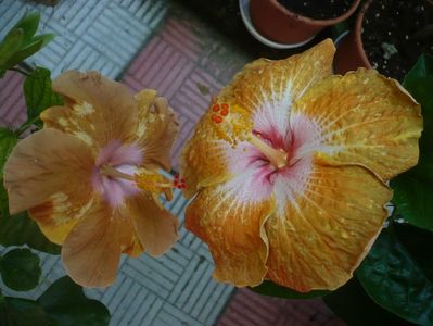 P1340097