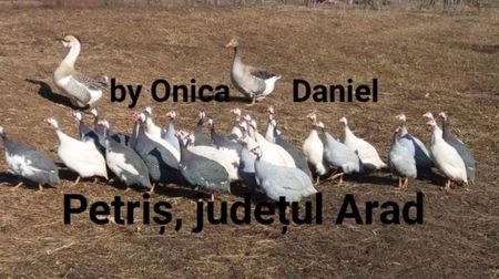 Poza de grup feb 2017; Un grup numeros...
