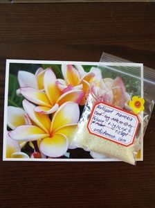 Fertilizant PLUMERIA - 7 lei; Fertilizant special pentru PLUMERIA, cu continut ridicat de fosfor

Cantitate: 10g
Dozaj: 1-2g/1L
Aplicare: la 1-2 saptamani

NPK: 10-52-10
