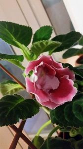 received_1420455728033208