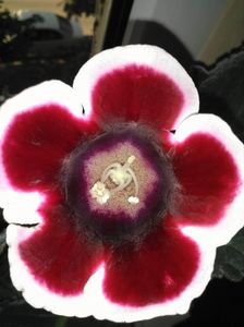 received_1426274354117434