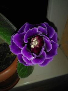 received_1304228992988638