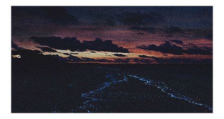 ●○ ρσѕтє∂ ση ₁₂. ₀₈. ₂₀₁₇. ❝ Ɗαу ₈₂ ❞