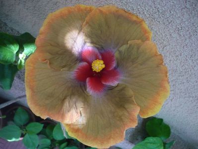 P1340440