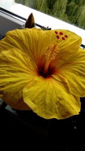P_20170817_152230_BF