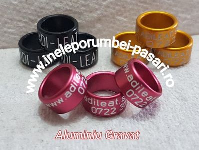 www.ineleporumbei-pasari.ro