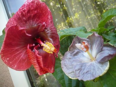 P1340871