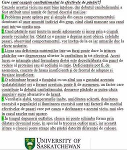 cauze canibalism