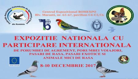 Expozitia nationala 2017