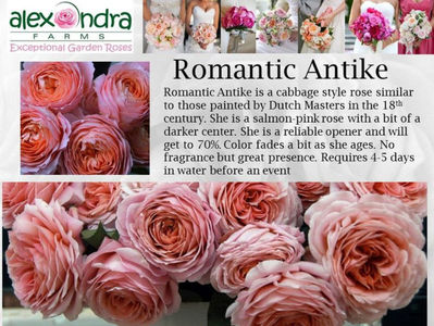 romantic antike