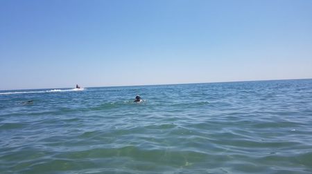 20170710_120921(0)