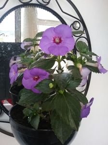 20170928_173714(0)