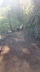 20170930_134032(0)