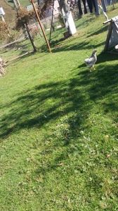 20170930_134015(0)