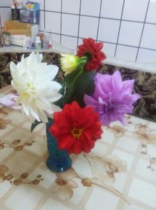 IMG-20171015-WA0005