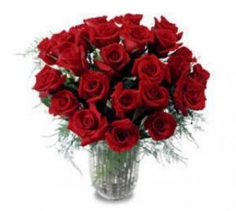 thumb_0_822420two20dozen20long20stemmed20roses52__75248.1318629284.335.385