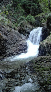 Treaptă a Cascadei Lazăru; Spre Cascada Lazăru.
