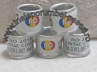 www.ineleporumbei-pasari.ro