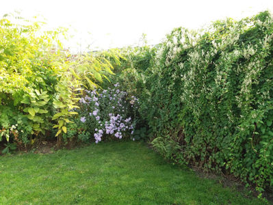 Picture 127